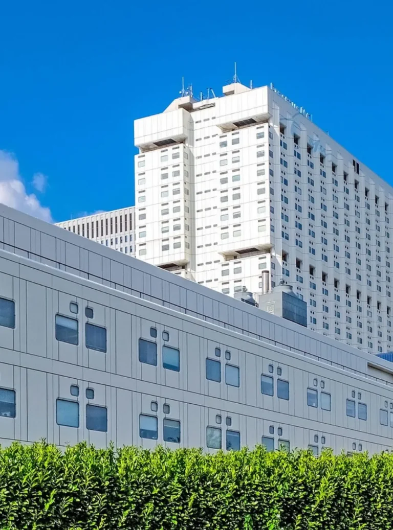 Obras Publicas Construcampi (10)